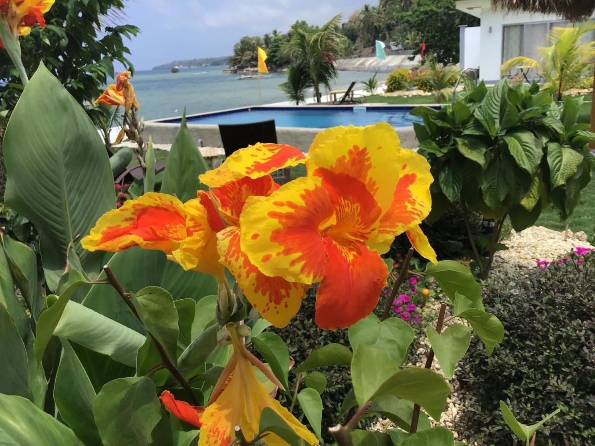 Bamboobeachvilla2 Ac New Oceanfront Pool Sunsetview Garden Kitchen Satellite Starlink Wi-Fi Dimiao Eksteriør bilde